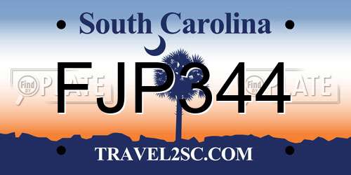 FJP344 South Carolina License Plate