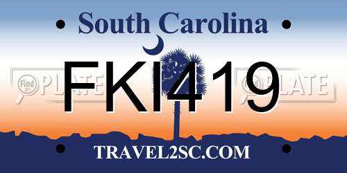FKI419 South Carolina License Plate