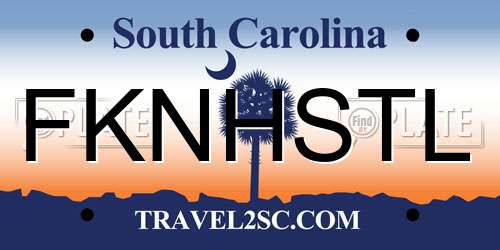 FKNHSTL South Carolina License Plate