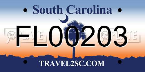 FL00203 South Carolina License Plate