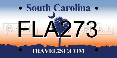 FLA273 South Carolina License Plate