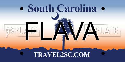 FLAVA South Carolina License Plate