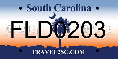 FLD0203 South Carolina License Plate
