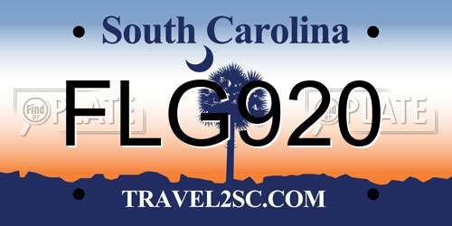 FLG920 South Carolina License Plate