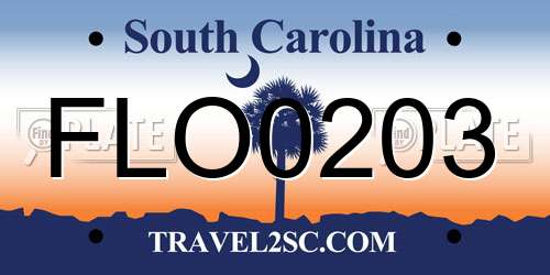 FLO0203 South Carolina License Plate