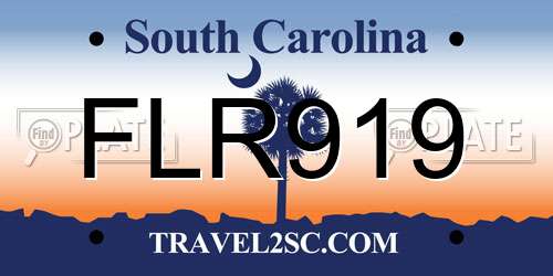 FLR919 South Carolina License Plate