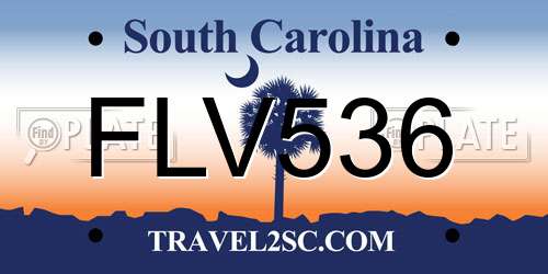 FLV536 South Carolina License Plate