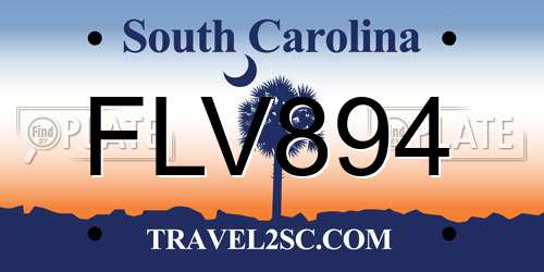 FLV894 South Carolina License Plate