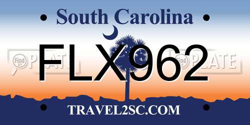 FLX962 South Carolina License Plate