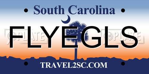 FLYEGLS South Carolina License Plate