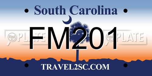 FM201 South Carolina License Plate