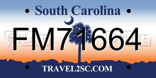 FM71664 South Carolina License Plate