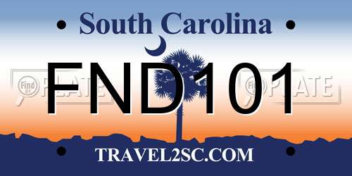 FND101 South Carolina License Plate