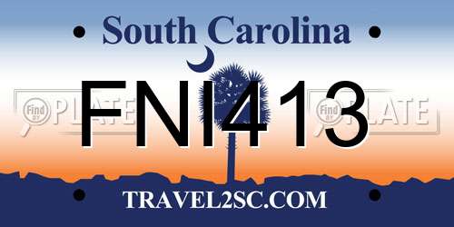 FNI413 South Carolina License Plate