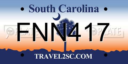 FNN417 South Carolina License Plate