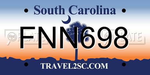FNN698 South Carolina License Plate