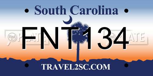 FNT134 South Carolina License Plate