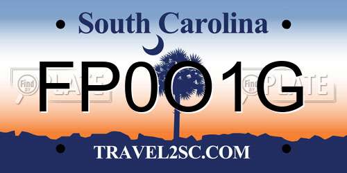 FP0O1G South Carolina License Plate