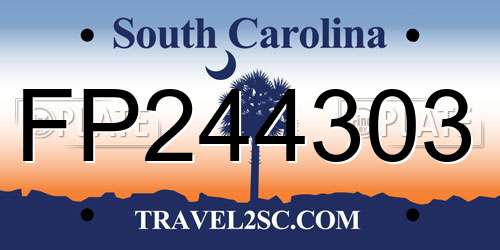 FP244303 South Carolina License Plate