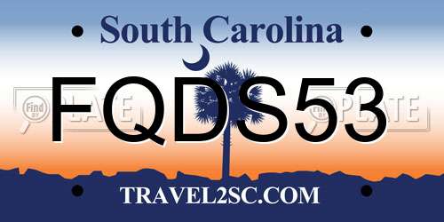 FQDS53 South Carolina License Plate