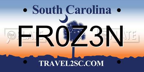 FR0Z3N South Carolina License Plate