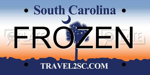 FROZEN South Carolina License Plate