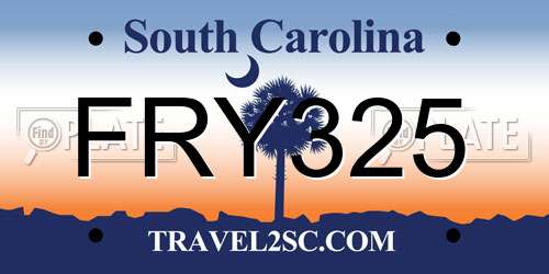 FRY325 South Carolina License Plate