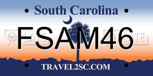FSAM46 South Carolina License Plate