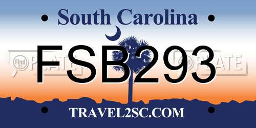 FSB293 South Carolina License Plate