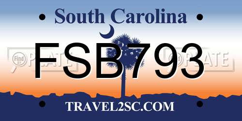 FSB793 South Carolina License Plate