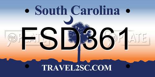 FSD361 South Carolina License Plate