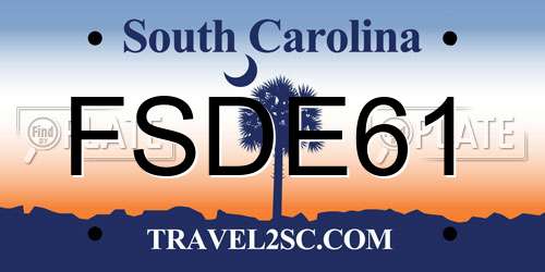 FSDE61 South Carolina License Plate