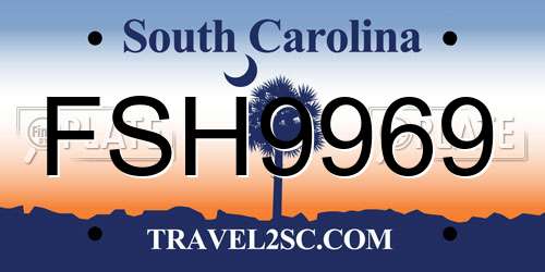 FSH9969 South Carolina License Plate