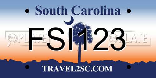 FSI123 South Carolina License Plate