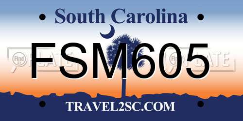 FSM605 South Carolina License Plate