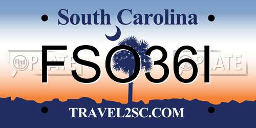 FSO36I South Carolina License Plate