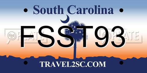 FSST93 South Carolina License Plate