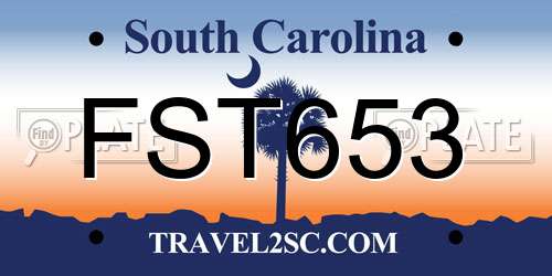 FST653 South Carolina License Plate