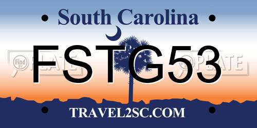 FSTG53 South Carolina License Plate