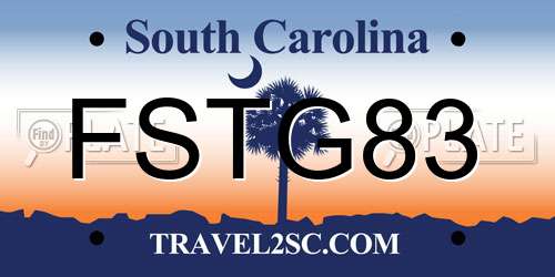 FSTG83 South Carolina License Plate