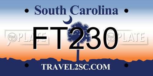 FT230 South Carolina License Plate