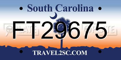 FT29675 South Carolina License Plate