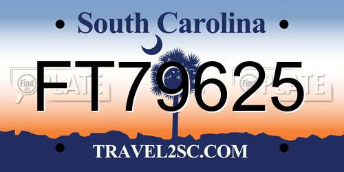 FT79625 South Carolina License Plate