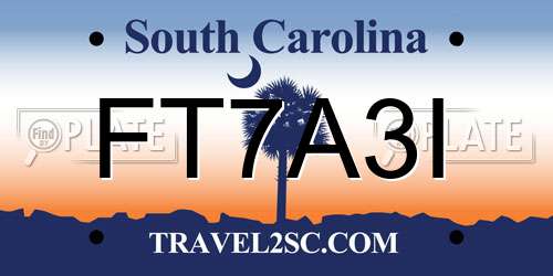 FT7A3I South Carolina License Plate