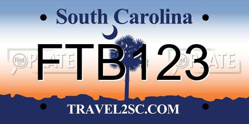 FTB123 South Carolina License Plate