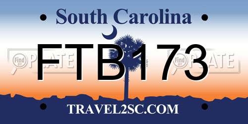 FTB173 South Carolina License Plate