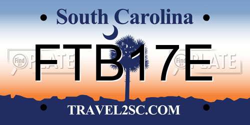 FTB17E South Carolina License Plate