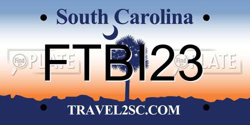 FTBI23 South Carolina License Plate