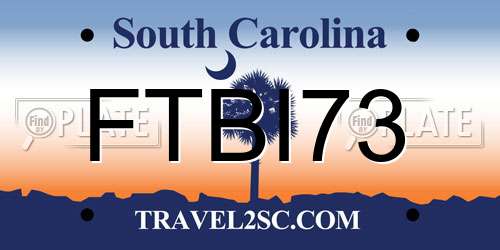 FTBI73 South Carolina License Plate