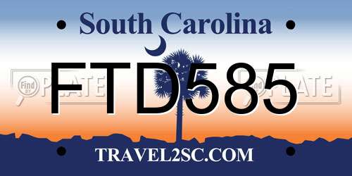 FTD585 South Carolina License Plate